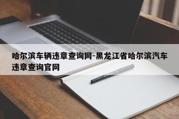 哈尔滨车辆违章查询网-黑龙江省哈尔滨汽车违章查询官网