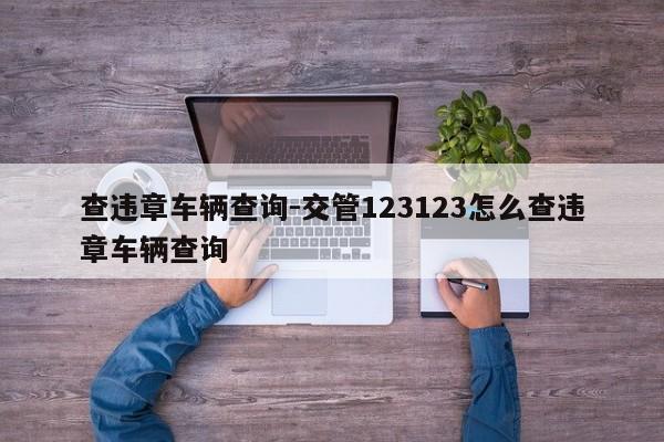 查违章车辆查询-交管123123怎么查违章车辆查询