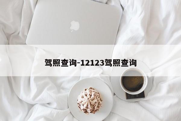 驾照查询-12123驾照查询