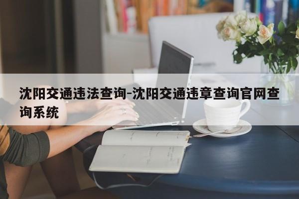 沈阳交通违法查询-沈阳交通违章查询官网查询系统