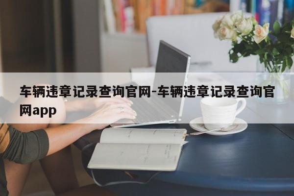 车辆违章记录查询官网-车辆违章记录查询官网app