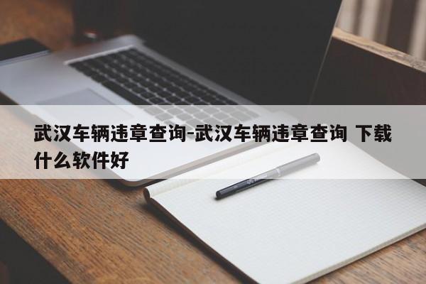 武汉车辆违章查询-武汉车辆违章查询 下载什么软件好