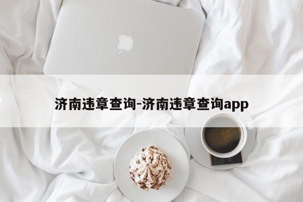 济南违章查询-济南违章查询app