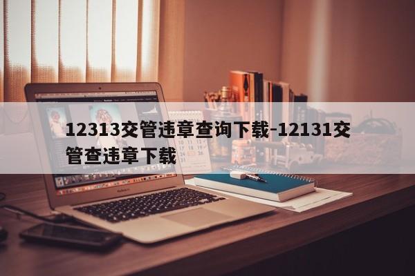 12313交管违章查询下载-12131交管查违章下载