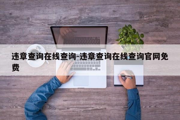 违章查询在线查询-违章查询在线查询官网免费