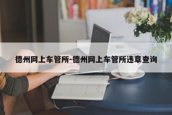 德州网上车管所-德州网上车管所违章查询