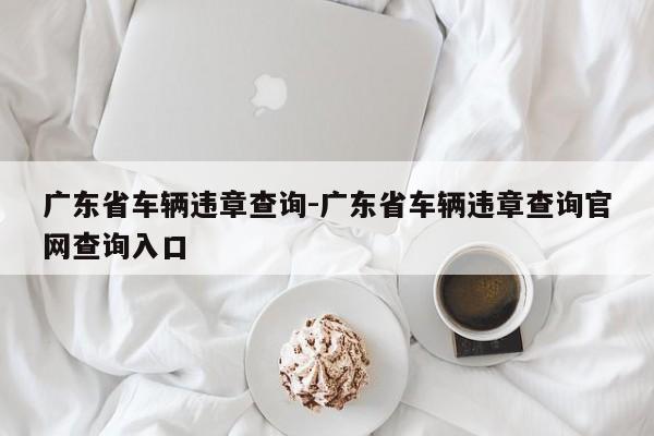 广东省车辆违章查询-广东省车辆违章查询官网查询入口