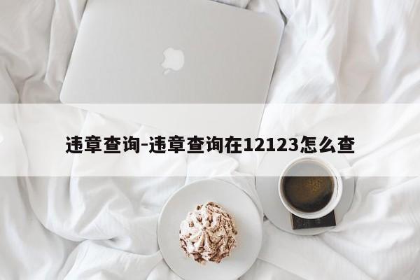 违章查询-违章查询在12123怎么查