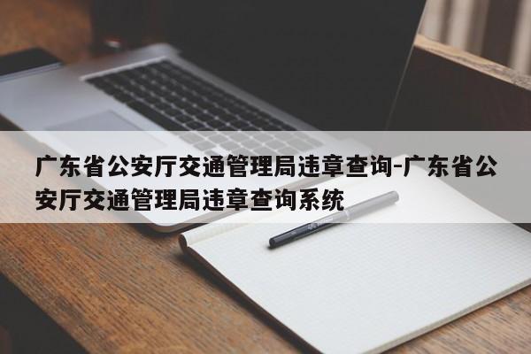 广东省公安厅交通管理局违章查询-广东省公安厅交通管理局违章查询系统