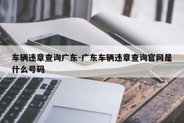 车辆违章查询广东-广东车辆违章查询官网是什么号码