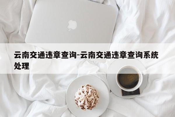 云南交通违章查询-云南交通违章查询系统 处理