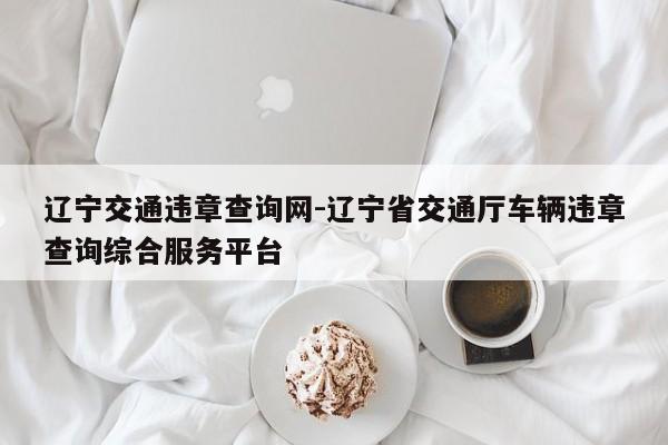 辽宁交通违章查询网-辽宁省交通厅车辆违章查询综合服务平台