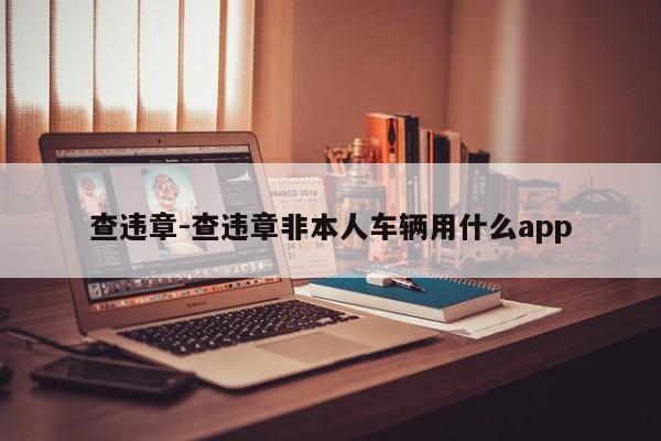 查违章-查违章非本人车辆用什么app