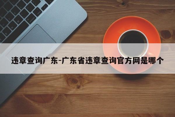 违章查询广东-广东省违章查询官方网是哪个